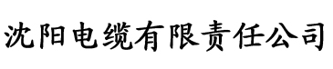 国产成人在线大香蕉电缆厂logo